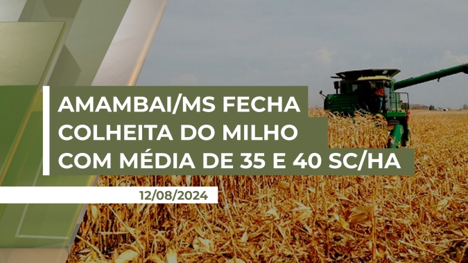 Amambai/MS fecha colheita do milho com média de produtividade entre 35 e 40 sc/ha