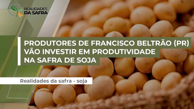 Em Francisco Beltrão (PR) área de milho verão deve diminuir cerca de 3% e ser ocupada pela soja, diz presidente do Sindicato Rural
