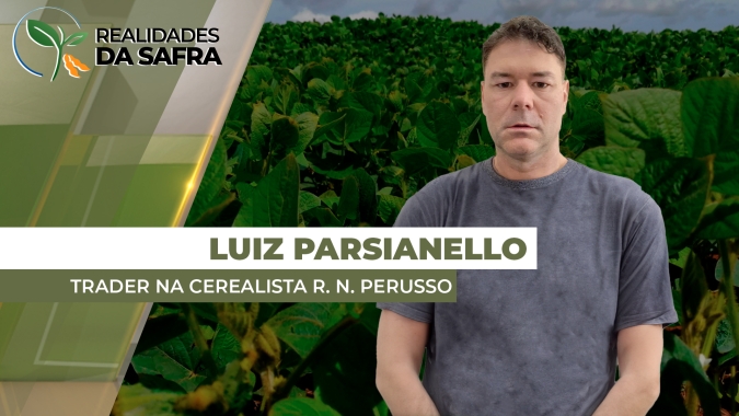 Pato Branco/PR espera bater recordes de produtividades para a soja 24/25