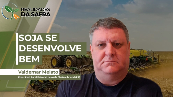 Soja se desenvolve bem em Assis Chateaubriand/PR e expectativa é de boas margens