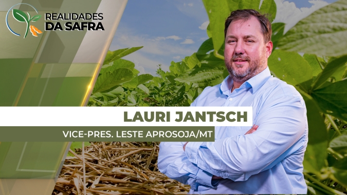 Clima favorece o desenvolvimento da soja no leste do Mato Grosso e média de produtividade pode subir nesta safra