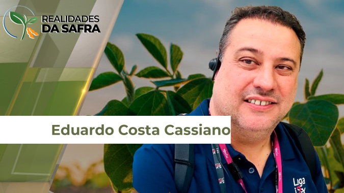 Safra de soja entra no período crítico para definir produtividade no Paraná