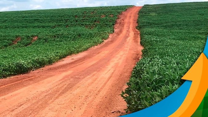 Soja em Dr. Camargo/PR está com 20% de lavouras ruins e 80% precisando de chuva nos próximos 3 dias