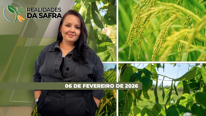 Dia do Feijão, foco na retomada do consumo e as preocupações que assolam o setor brasileiro do arroz