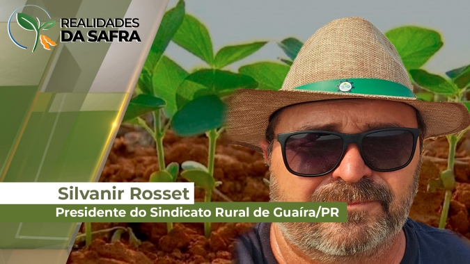 Soja se desenvolve bem em Guaíra/PR com promessa de boa produtividade após 3 safras de perdas