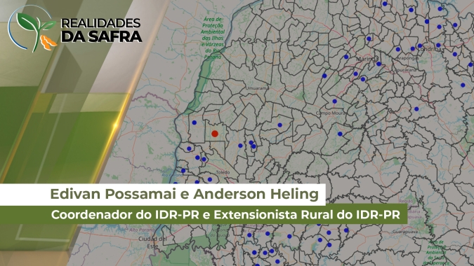IDR-Paraná identifica esporos da Ferrugem Asiática pela 1ª vez na safra de soja do estado