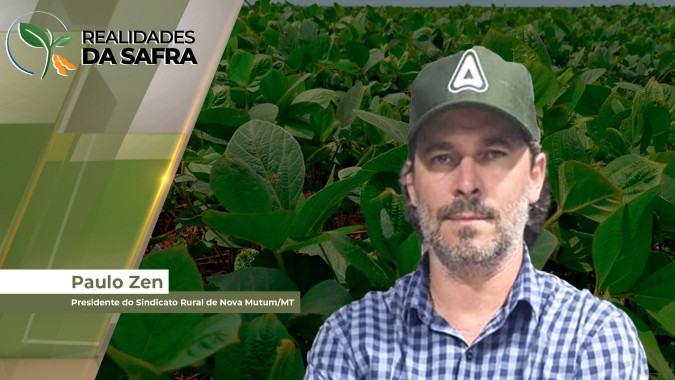 Desenvolvimento da safra da soja em Nova Mutum/MT