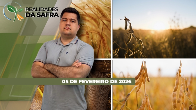 Mato Grosso avança colheita da soja com boas produtividades, mas atenção com chuvas e grãos avariados segue elevada