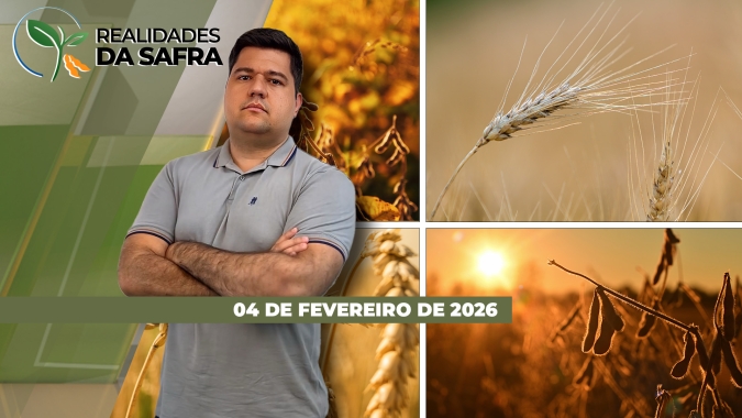 Safra de soja 2025/26 não cobre custos de produção e colheita avança com dificuldades no Mato Grosso diante das chuvas