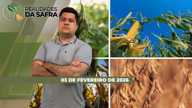 Lavouras de soja sofrem com seca no Paraguai e clima irregular também preocupa no Pará