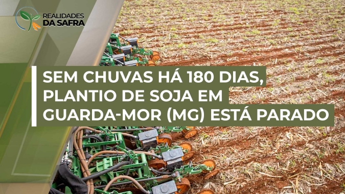 Em Guarda-Mor (MG), não chove a 180 dias, e nem quem tem pivô está arriscando semear a soja, diz produtor local