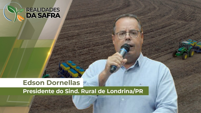 Londrina/PR já realizou 40% do plantio da soja