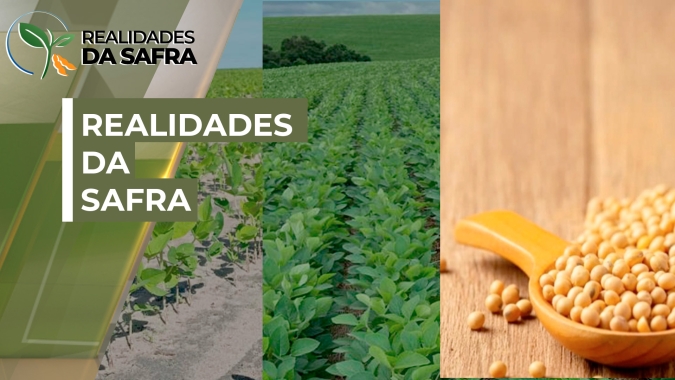 Regiões brasileiras apresentam condições diferentes para o desenvolvimento da soja