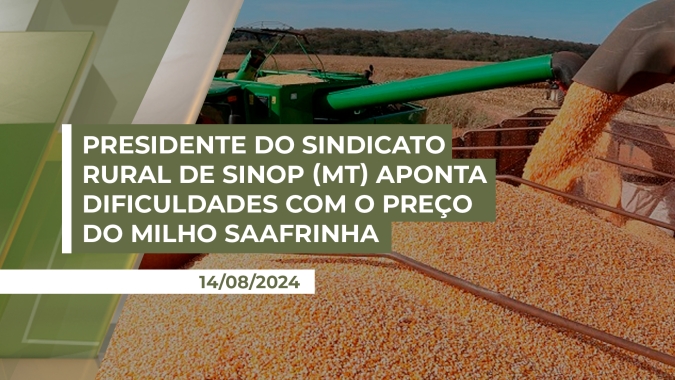 Presidente do Sindicato Rural de Sinop (MT) aponta dificuldades com o preço do milho safrinha e baixo ritmo de vendas para a nova safra de soja