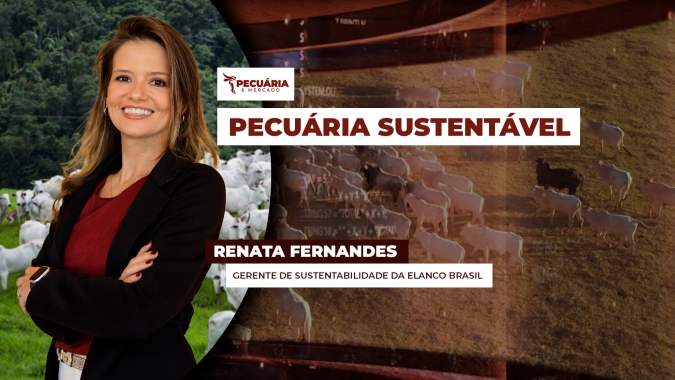 Perfil de produção da pecuária brasileira é sustentável, mas exige reposicionamento para ser solução ambiental