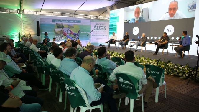 Ex-presidente da Federarroz assume presidência da Câmara Setorial do Arroz