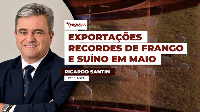 Carne de frango supera a marca de US$1 bi de faturamento em maio, carne suína também bate recorde