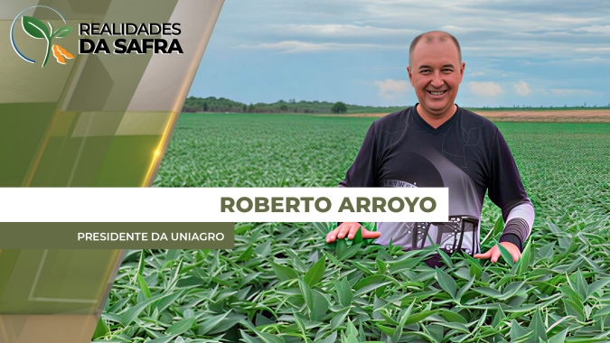 Amapá fecha plantio da soja esperando repetir bons resultados de produtividade da safra passada