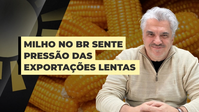 Milho: Brasil ainda está distante do que precisaria exportar para equilibrar o mercado, afirma analista