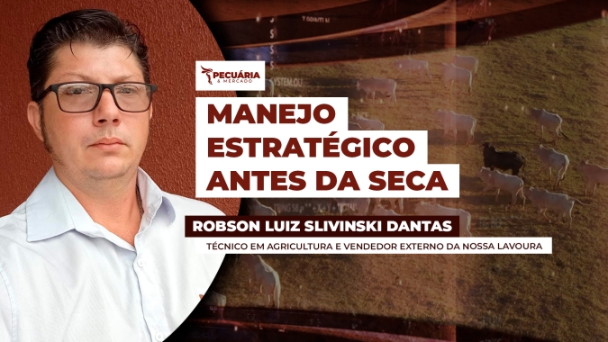 Ajuste de lotação, adubação e planejamento do pastejo preservam forragem e garantem ganho de peso dos animais na seca