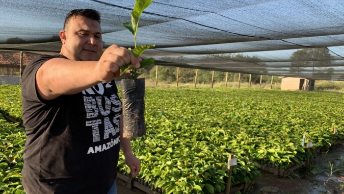 Do campo à xícara: Roteiro especial apresenta potência da cafeicultura de Rondônia