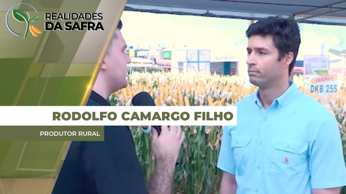 Colheita da soja começa na região de Cascavel/PR com projeção de altas produtividades