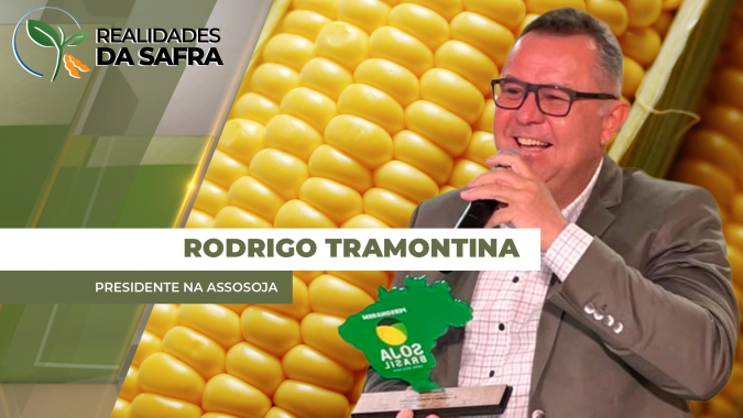 Milho: Região do Norte do Paraná passa por desafios climáticos que podem impactar na produtividade