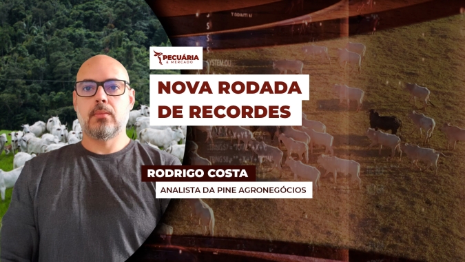 Exportações de carne bovina em junho devem fechar com volumes recordes