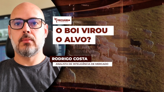 China, Europa e EUA: O que pode acontecer com a arroba?