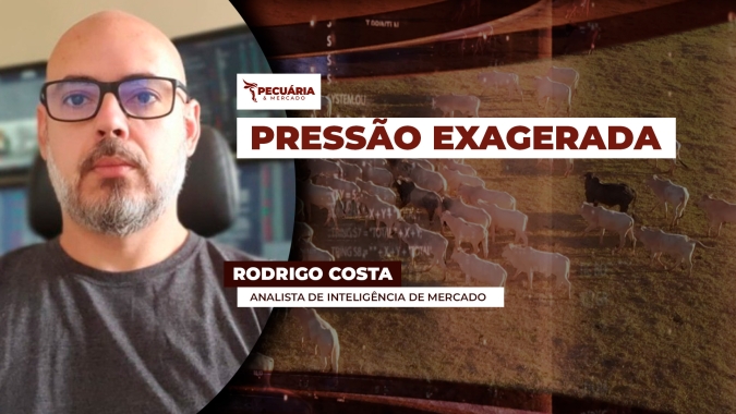 Queda na arroba já era esperada para o período, mas está sendo intensificada pelo fim das cotas chinesas