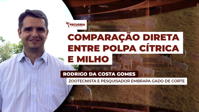 Especialista explica porque, quando e como utilizar a Polpa Cítrica na dieta dos animais em detrimento do milho