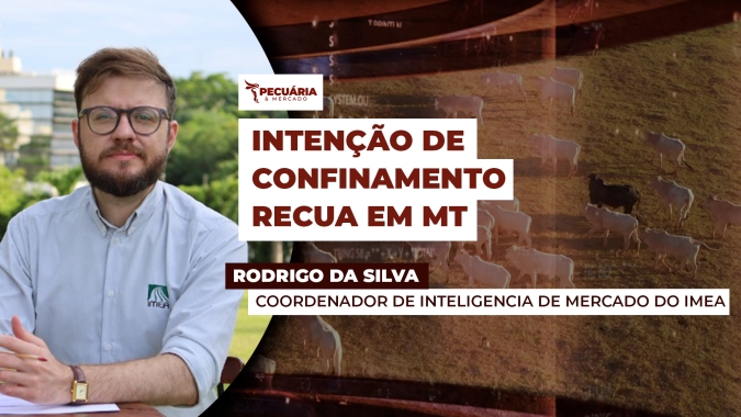 Primeiro Levantamento do IMEA aponta para redução de quase 8% na intenção de confinamento para 2025