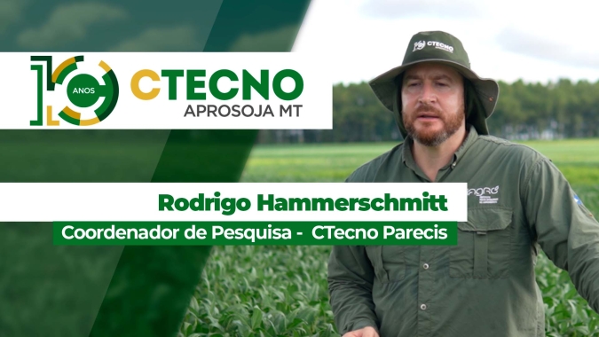 Comportamento das principais cultivares plantadas em MT em solos argilosos e arenosos