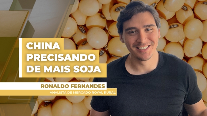 China deve vir agressiva às compras de soja nos próximos meses para garantir cobertura e mira oferta do Brasil