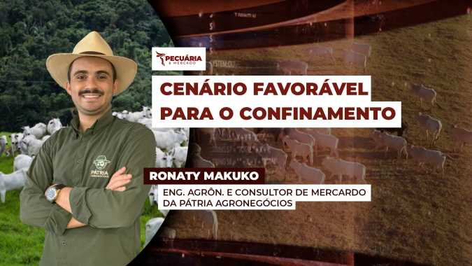 Resultados positivos do confinamento já esbarram na dificuldade de encontrar boi magro