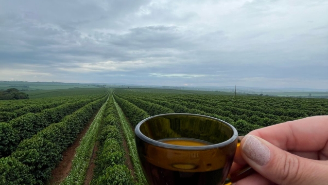 Há 7 anos produção mundial de café contabiliza déficit de 25 milhões de sacas