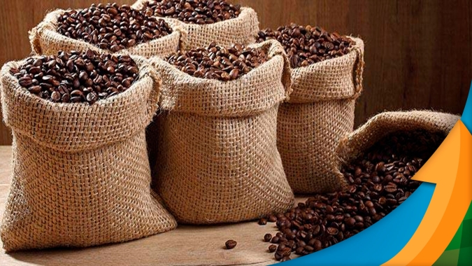 Valorização: Associação dos Cafeicultores do Sudoeste de Minas e Sebrae lançam marca território com foco em reposicionamento da região no mercado internacional
