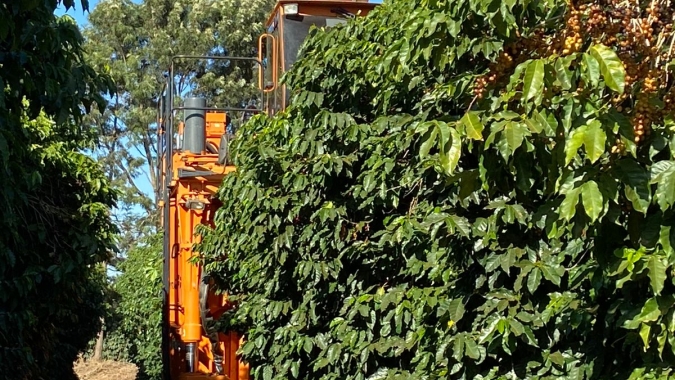 Oferta restrita do Brasil volta a preocupar e café encerra 1º pregão da semana com altas