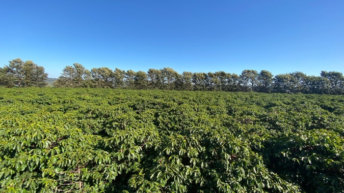 11º Prêmio da Região do Cerrado Mineiro acontece em novembro