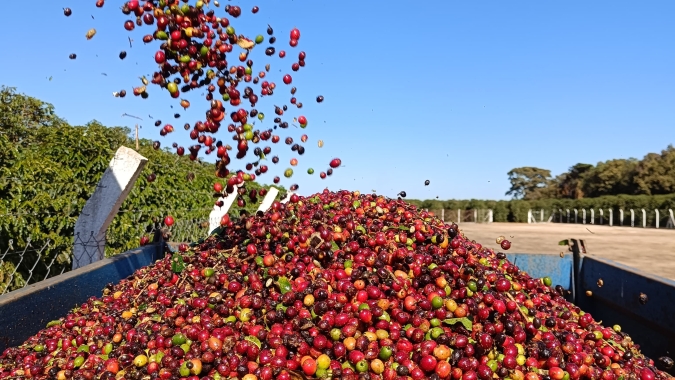 Café fecha junho com disparada nas bolsas internacionais e ganhos superiores a 8% nesta 3ª feira; atraso da colheita e preocupação com oferta