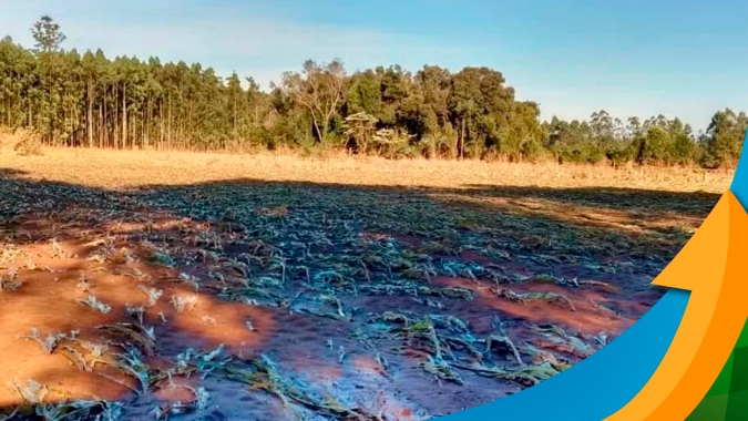 Região de Vera Cruz/RS tem enormes perdas na produção e na infraestrutura após chuvas