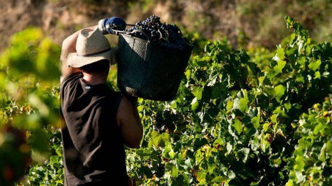 Escala 5x2 desafia competitividade do agro e pode encarecer produção de alimentos