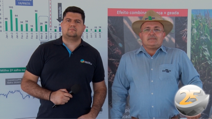 Plantio do milho antes da colheita da soja aumentou produtividade da safrinha 21 em até 74 sc/ha no Paraná