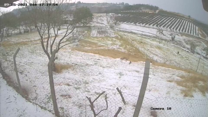 Após seca e geadas, chuva de granizo atinge áreas de café em Minas Gerais