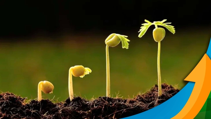 Tetos produtivos limitados e persistentes na lavoura podem estar relacionados à baixa atividade biológica no solo.
