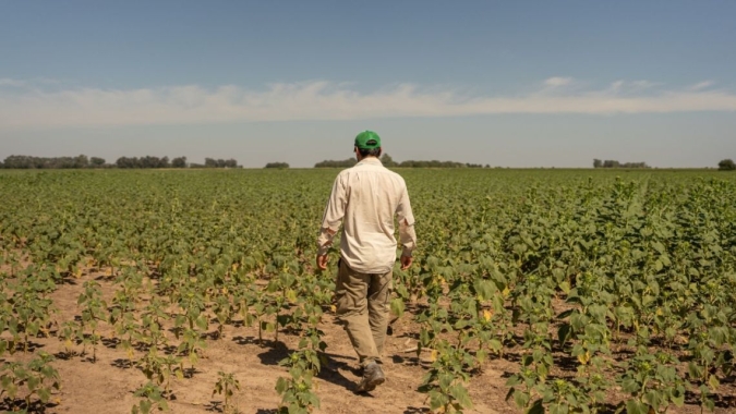 Argentina: 'Agro dólar' é paliativo, não é solução e não muda pior ano que o campo já registrou no país