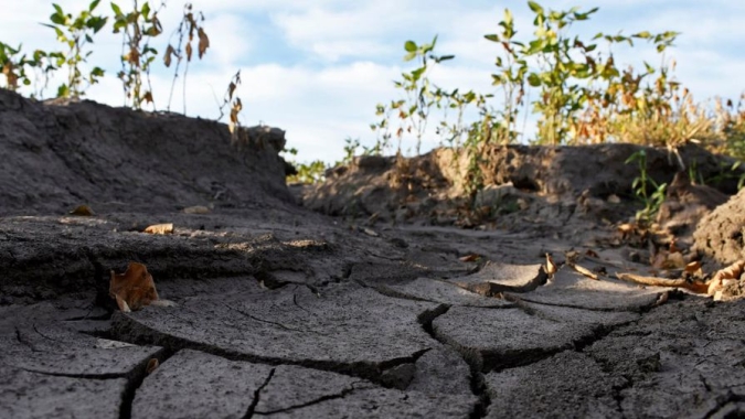 Chuvas na Argentina deverão favorecer recuperação apenas às lavouras plantadas mais tarde