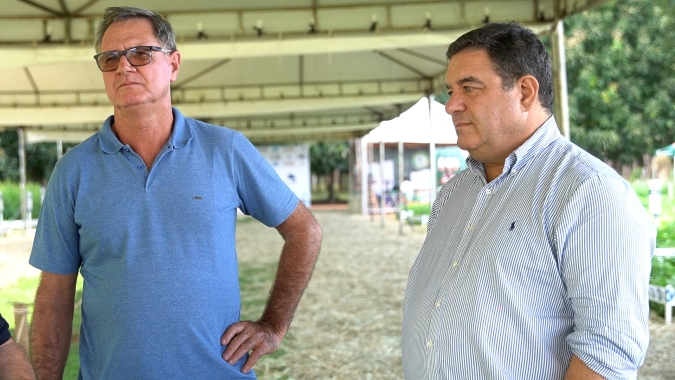 Setor de feijões e pulses se organiza para profissionalizar ações de expansão da produção, incentivar pesquisas e abrir novos mercados