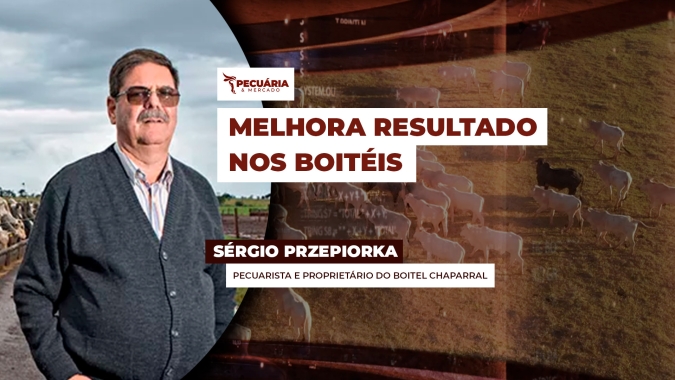 Recente recuperação dos preços da arroba melhora rentabilidade de quem utiliza boitel para engordar os animais