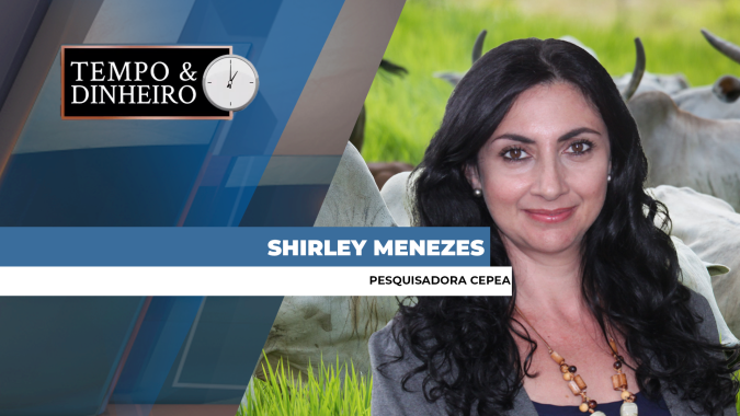 Boi gordo tem escalas de abate com aumento da participação das fêmeas, informa Shirley Menezes